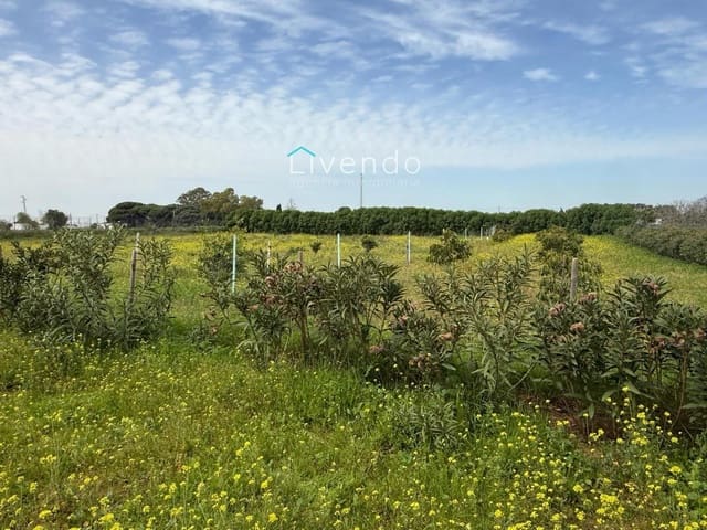 Grond te koop in Conil de la Frontera - € 119.900 (Ref: 9629534)