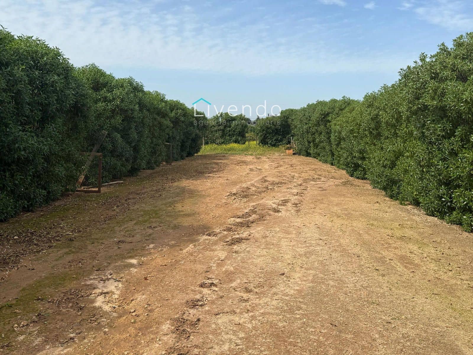 Grond te koop in Conil de la Frontera - € 119.900 (Ref: 9629534)