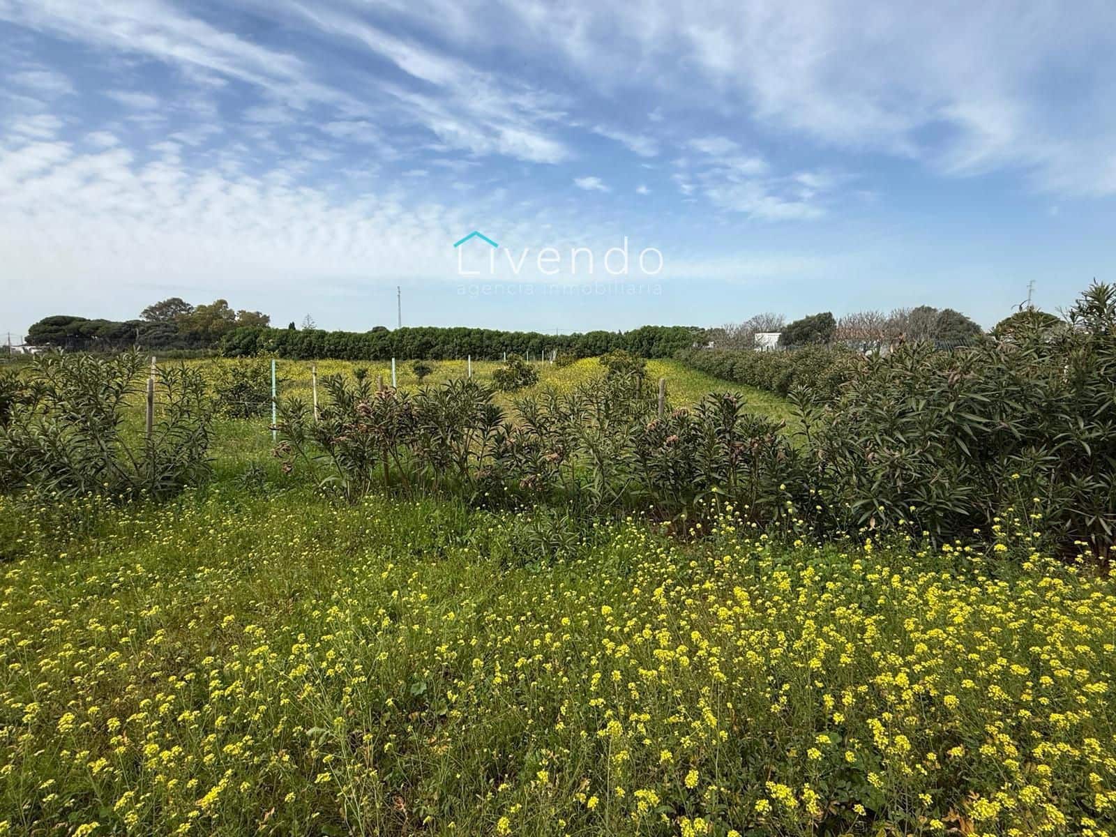 Grond te koop in Conil de la Frontera - € 119.900 (Ref: 9629534)