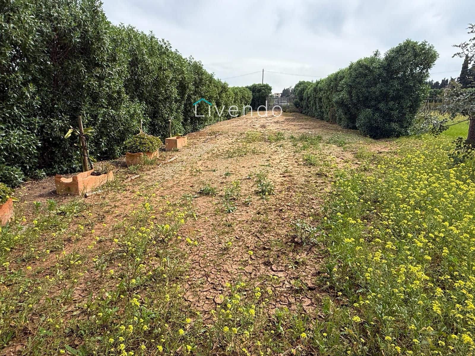 Grond te koop in Conil de la Frontera - € 119.900 (Ref: 9629534)