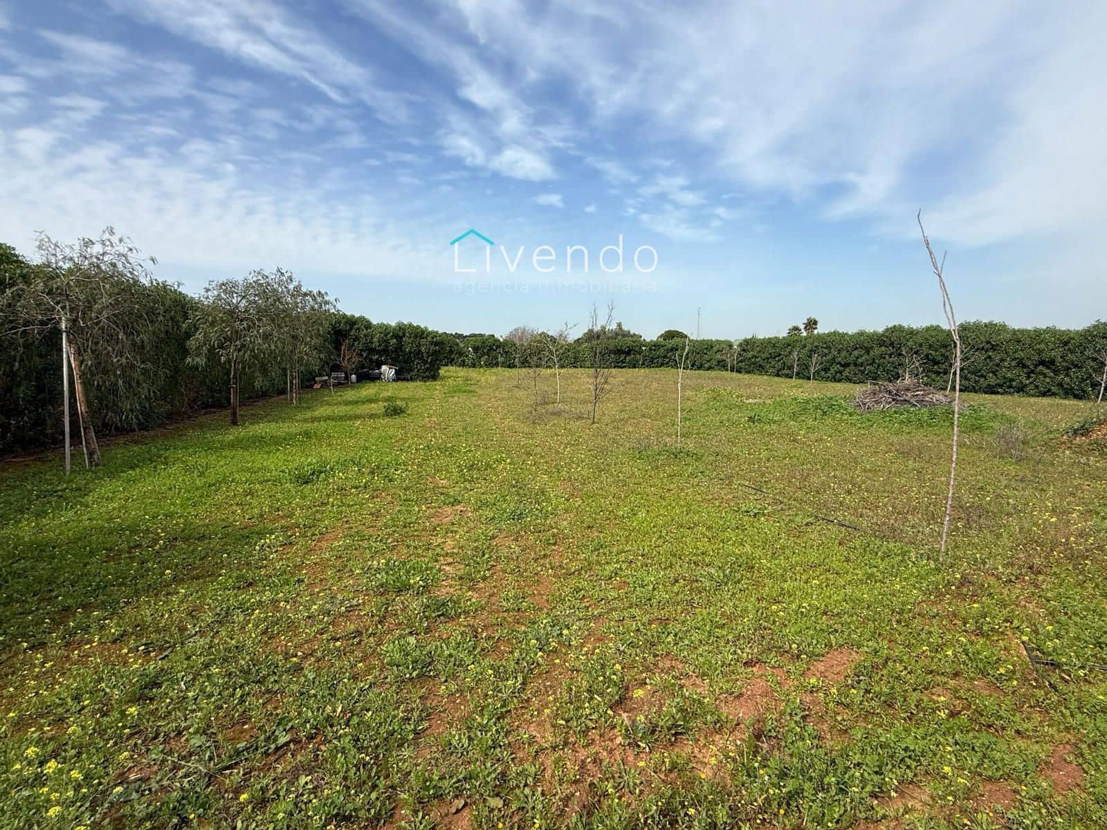 Grond te koop in Conil de la Frontera - € 119.900 (Ref: 9629534)