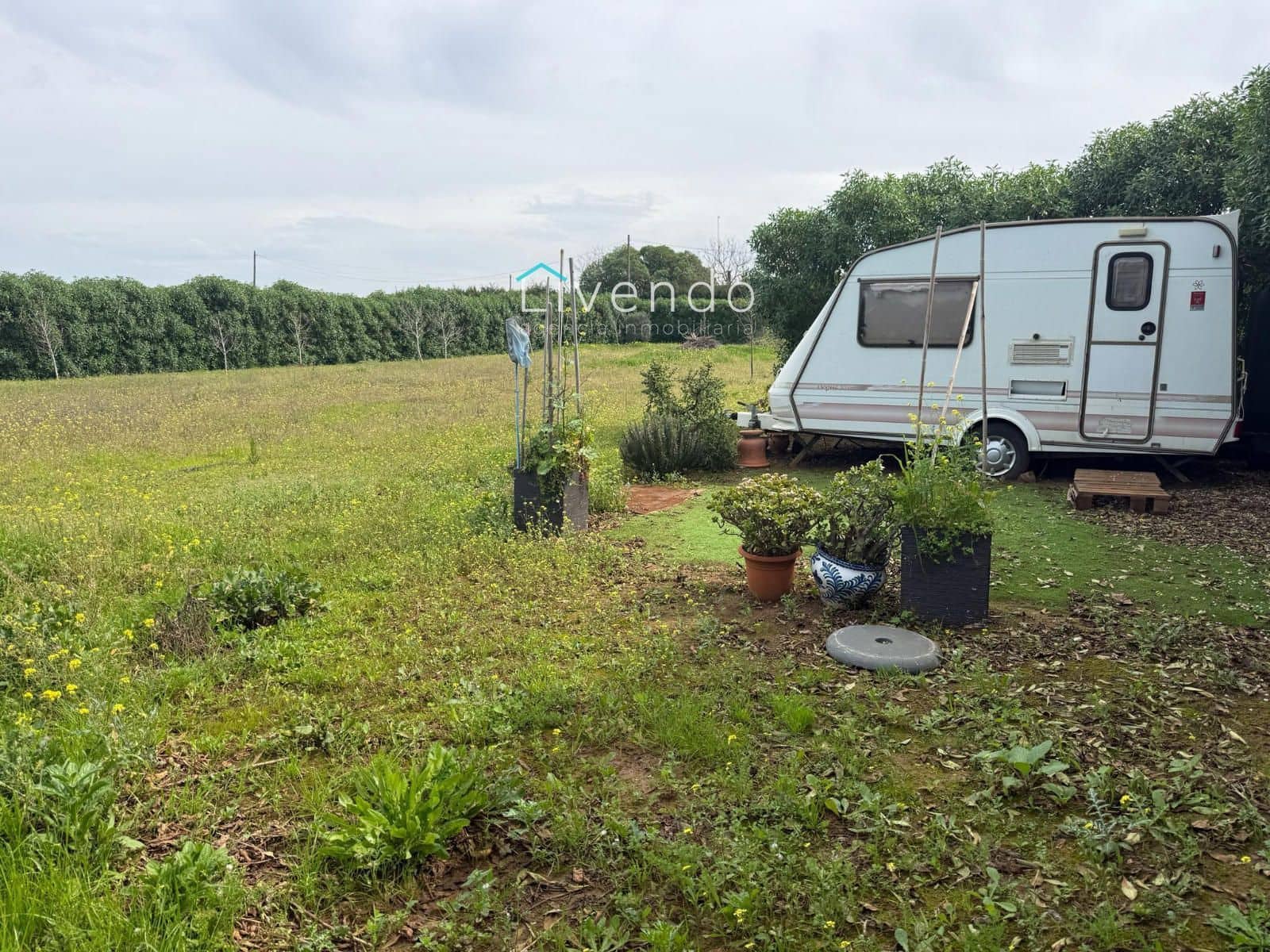 Grond te koop in Conil de la Frontera - € 119.900 (Ref: 9629534)