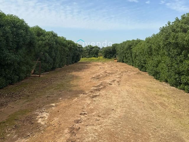 Grond te koop in Conil de la Frontera - € 119.900 (Ref: 9629534)