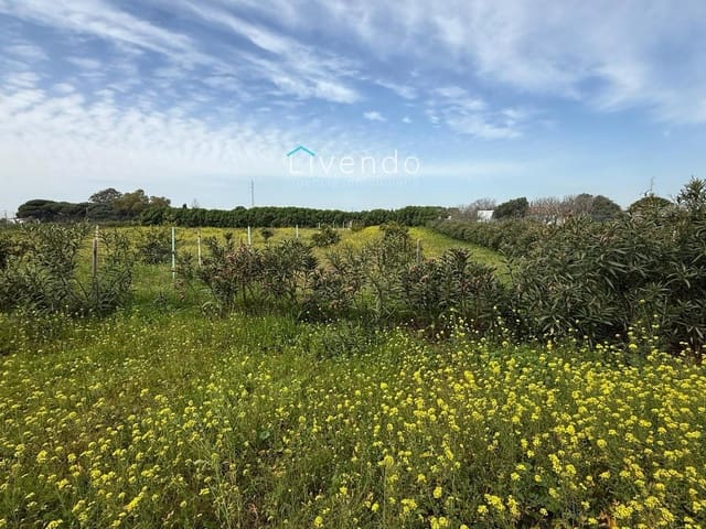 Grond te koop in Conil de la Frontera - € 119.900 (Ref: 9629534)