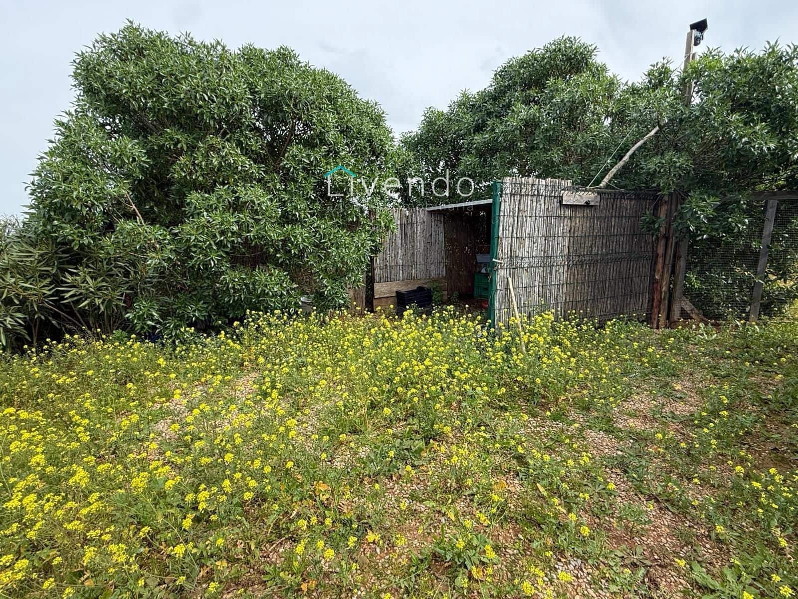 Grond te koop in Conil de la Frontera - € 119.900 (Ref: 9629534)