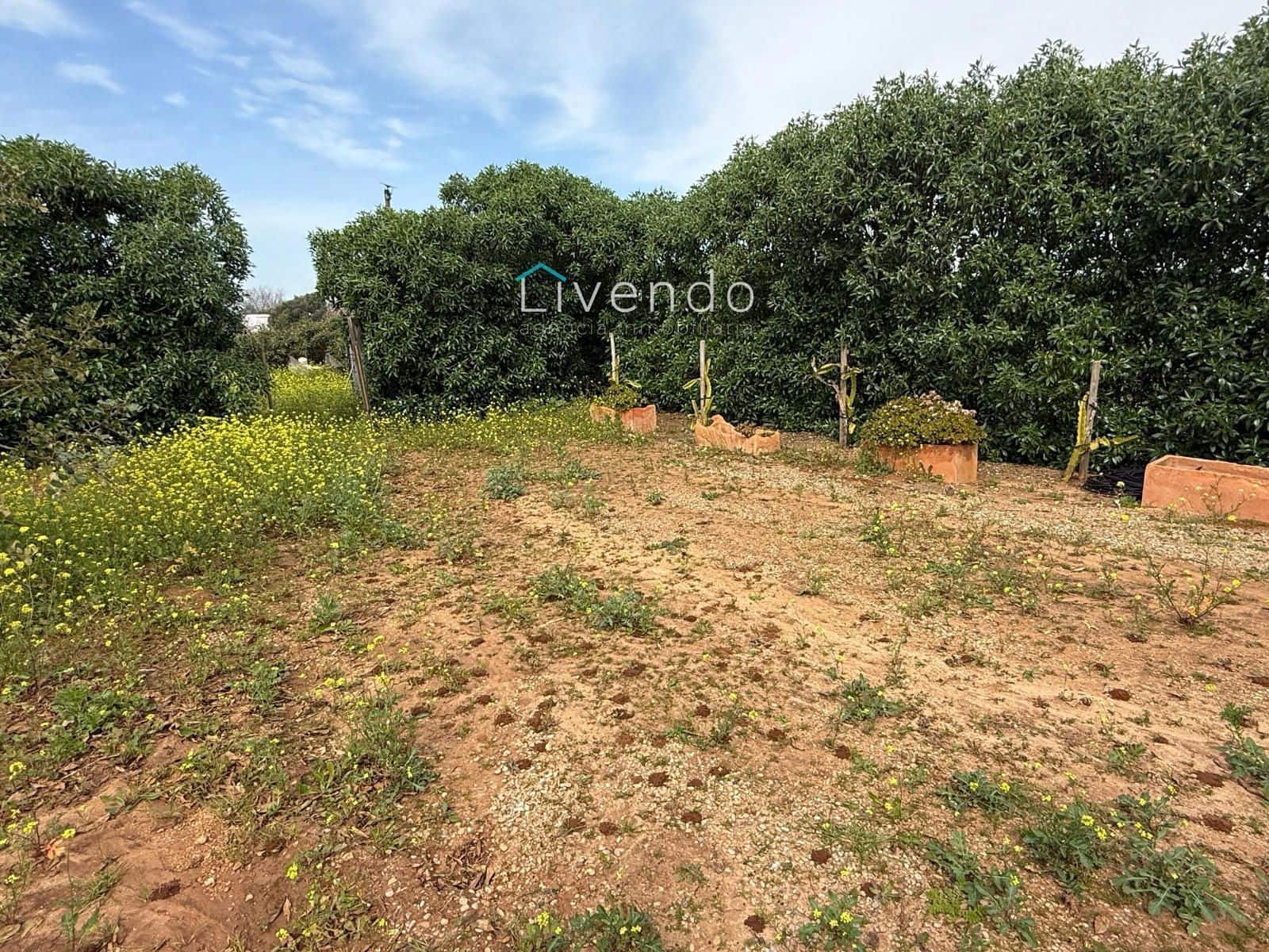 Grond te koop in Conil de la Frontera - € 119.900 (Ref: 9629534)