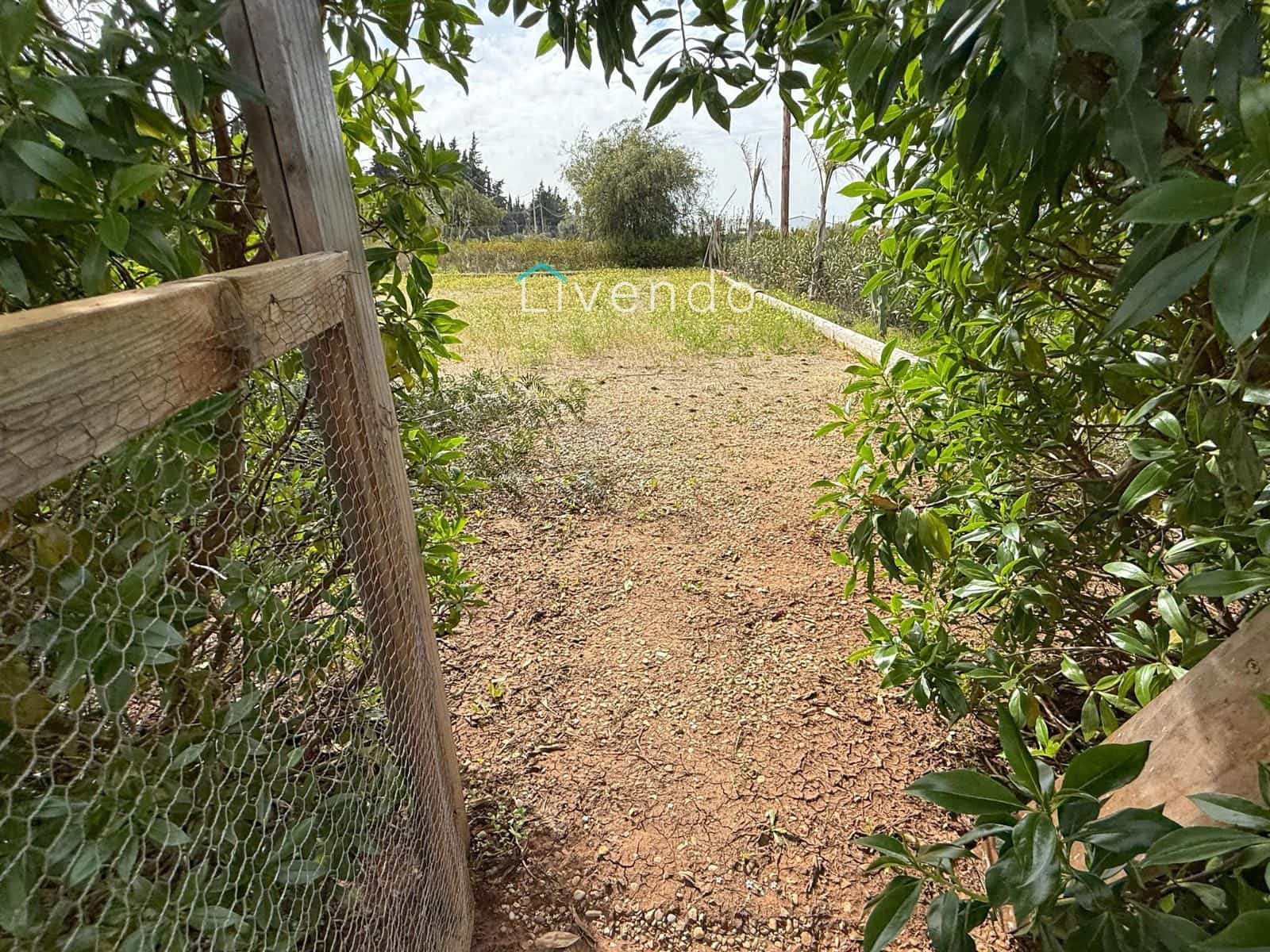 Grond te koop in Conil de la Frontera - € 119.900 (Ref: 9629534)