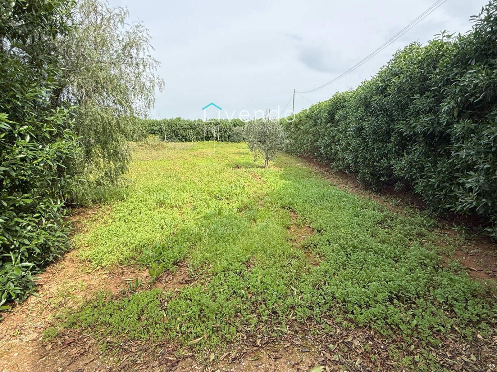 Grond te koop in Conil de la Frontera - € 119.900 (Ref: 9629534)