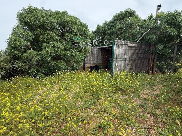 Grond te koop in Conil de la Frontera - € 119.900 (Ref: 9629534)