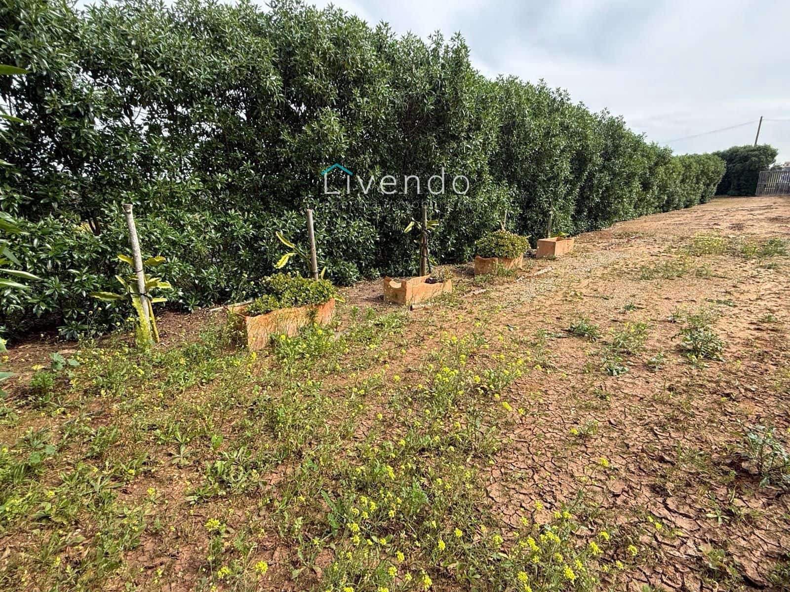 Grond te koop in Conil de la Frontera - € 119.900 (Ref: 9629534)