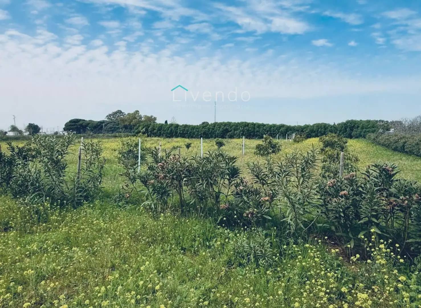 Landgrundstück zu verkaufen in Conil de la Frontera - 119.900 € (Ref: 9629534)