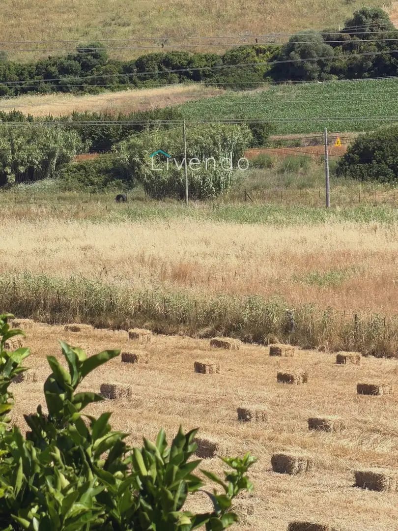 Finca/Casa Rural de 2 habitaciones en Vejer de la Frontera en venta - 274.900 € (Ref: 9964228)
