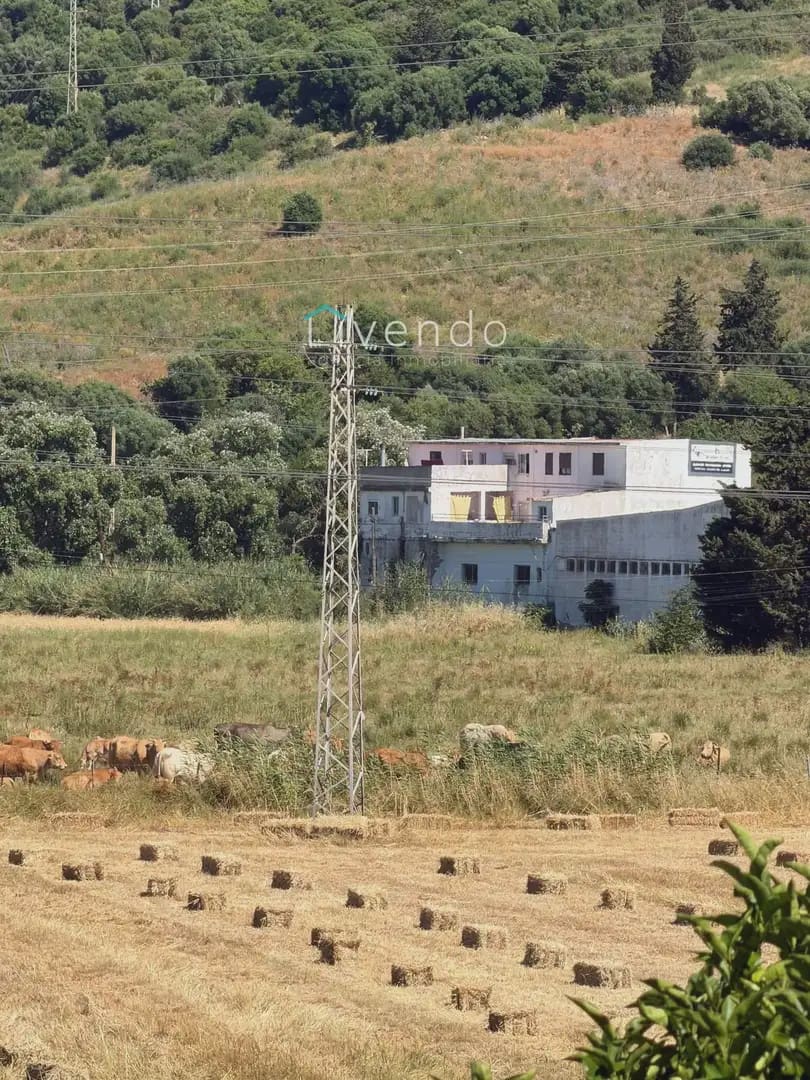 Finca/Casa Rural de 2 habitaciones en Vejer de la Frontera en venta - 274.900 € (Ref: 9964228)