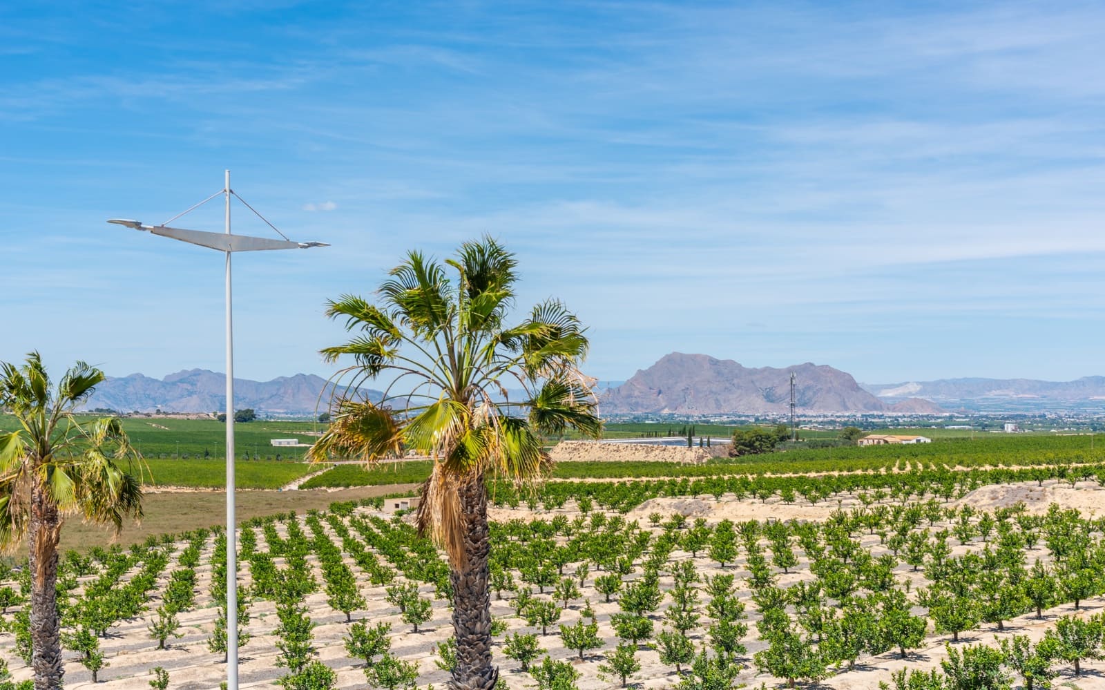 3 quarto Moradia para venda em Algorfa com piscina garagem - 444 900 € (Ref: 9467753)