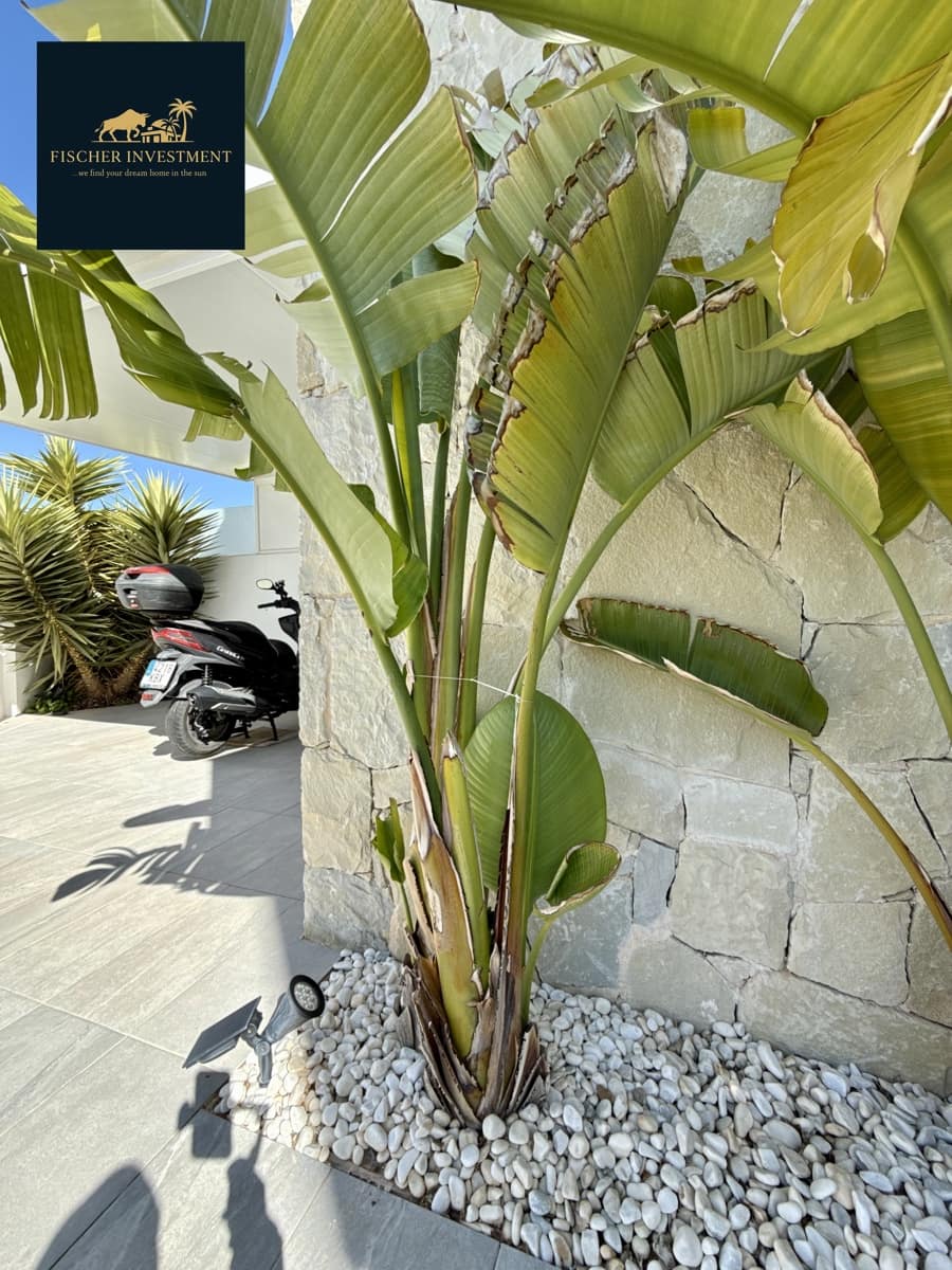 3 soverom Villa til salgs i Los Montesinos med svømmebasseng garasje - € 399 000 (Ref: 9751421)