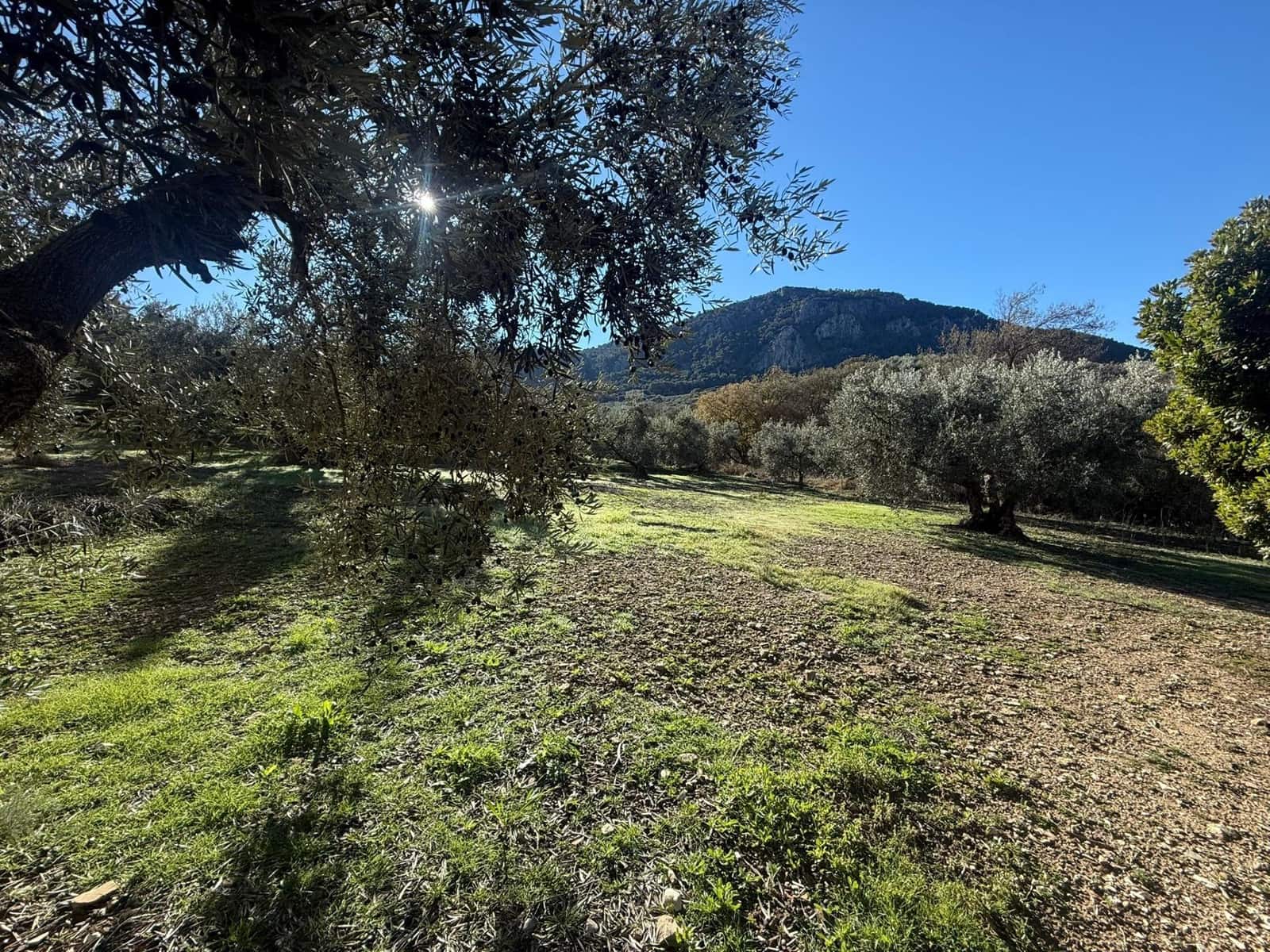 8 soverom Finca/Herregård til salgs i Villanueva del Trabuco - € 599 000 (Ref: 10120228)