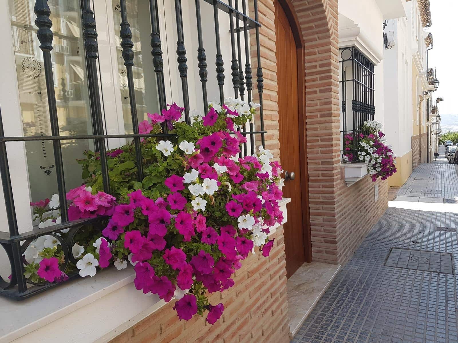 4 bedroom Villa for sale in Archidona - € 349,000 (Ref: 10120229)