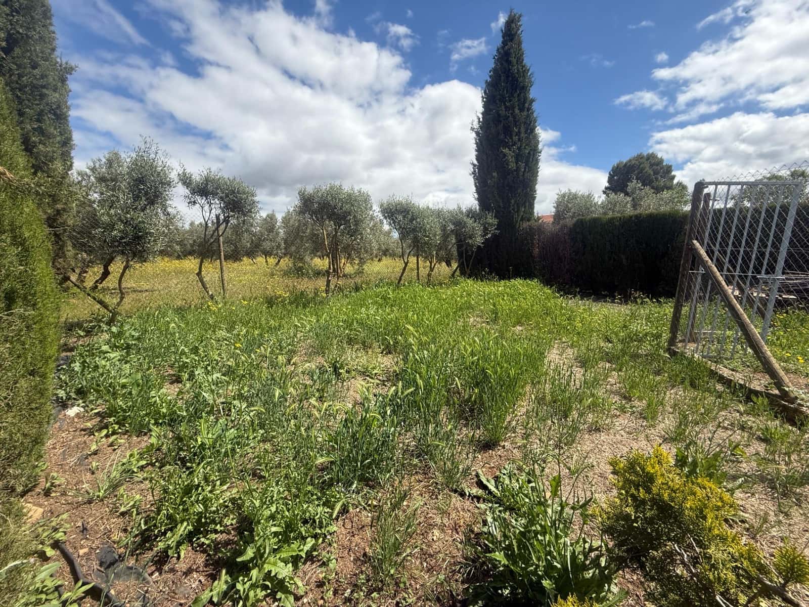 3 sovrum Finca/Hus på landet till salu i Villanueva del Rosario med garage - 275 000 € (Ref: 10120232)