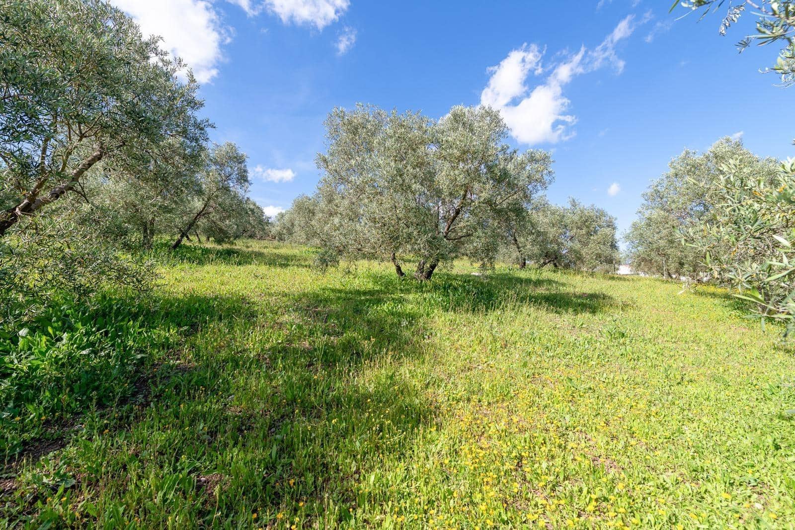 3 Zimmer Villa zu verkaufen in Villanueva del Trabuco - 570.000 € (Ref: 10136091)