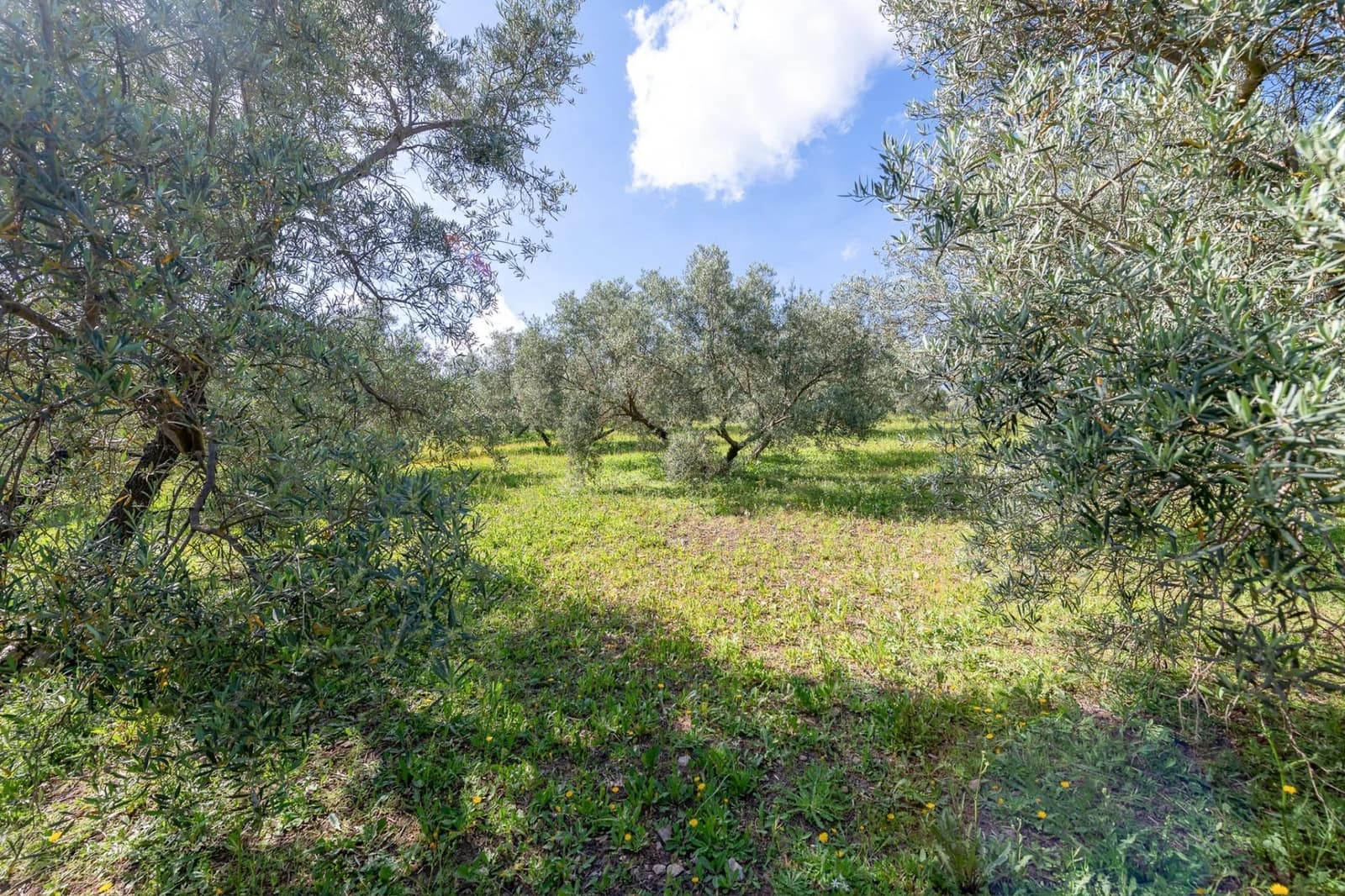 3 Zimmer Villa zu verkaufen in Villanueva del Trabuco - 570.000 € (Ref: 10136091)