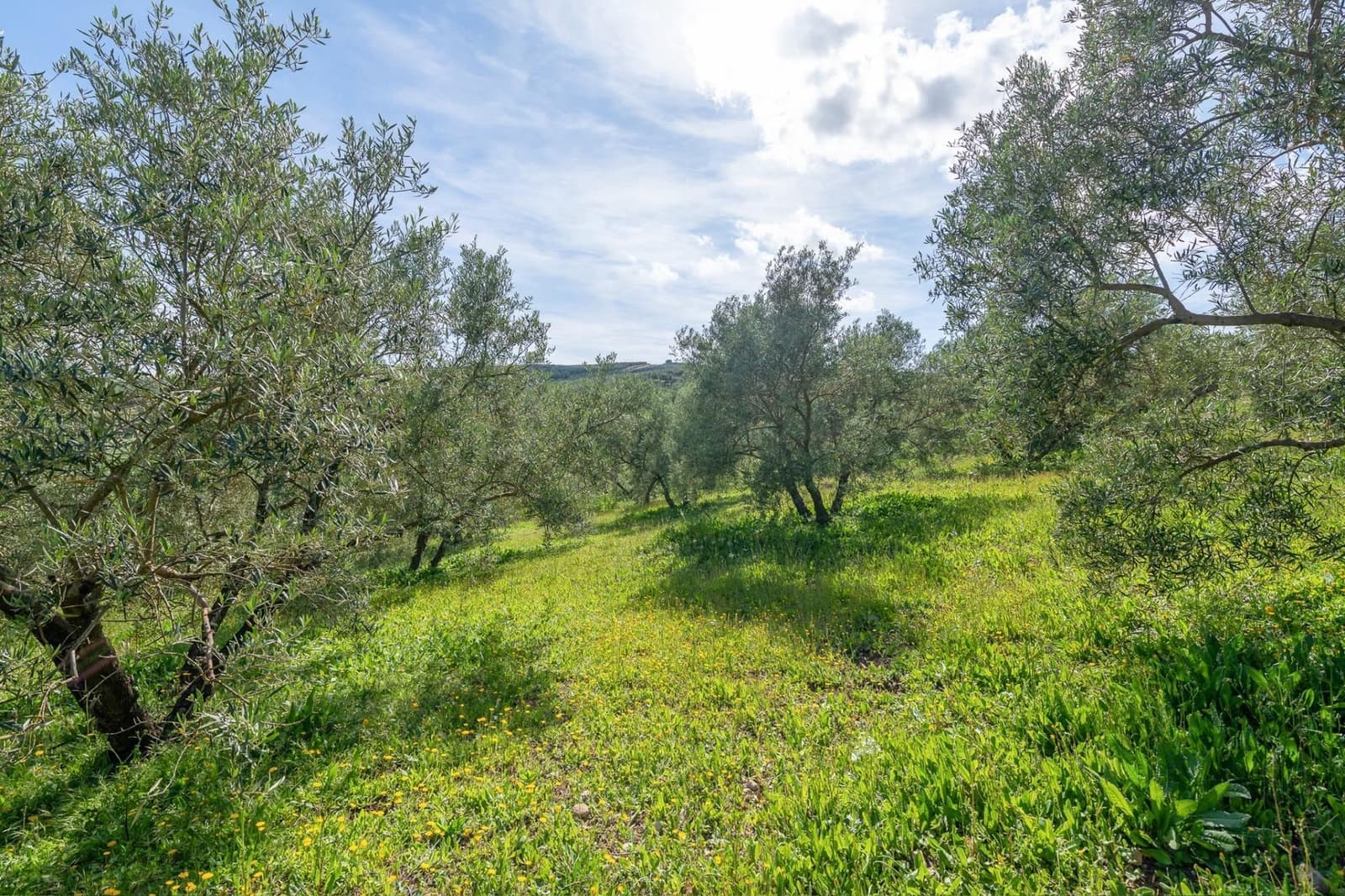 3 Zimmer Villa zu verkaufen in Villanueva del Trabuco - 570.000 € (Ref: 10136091)