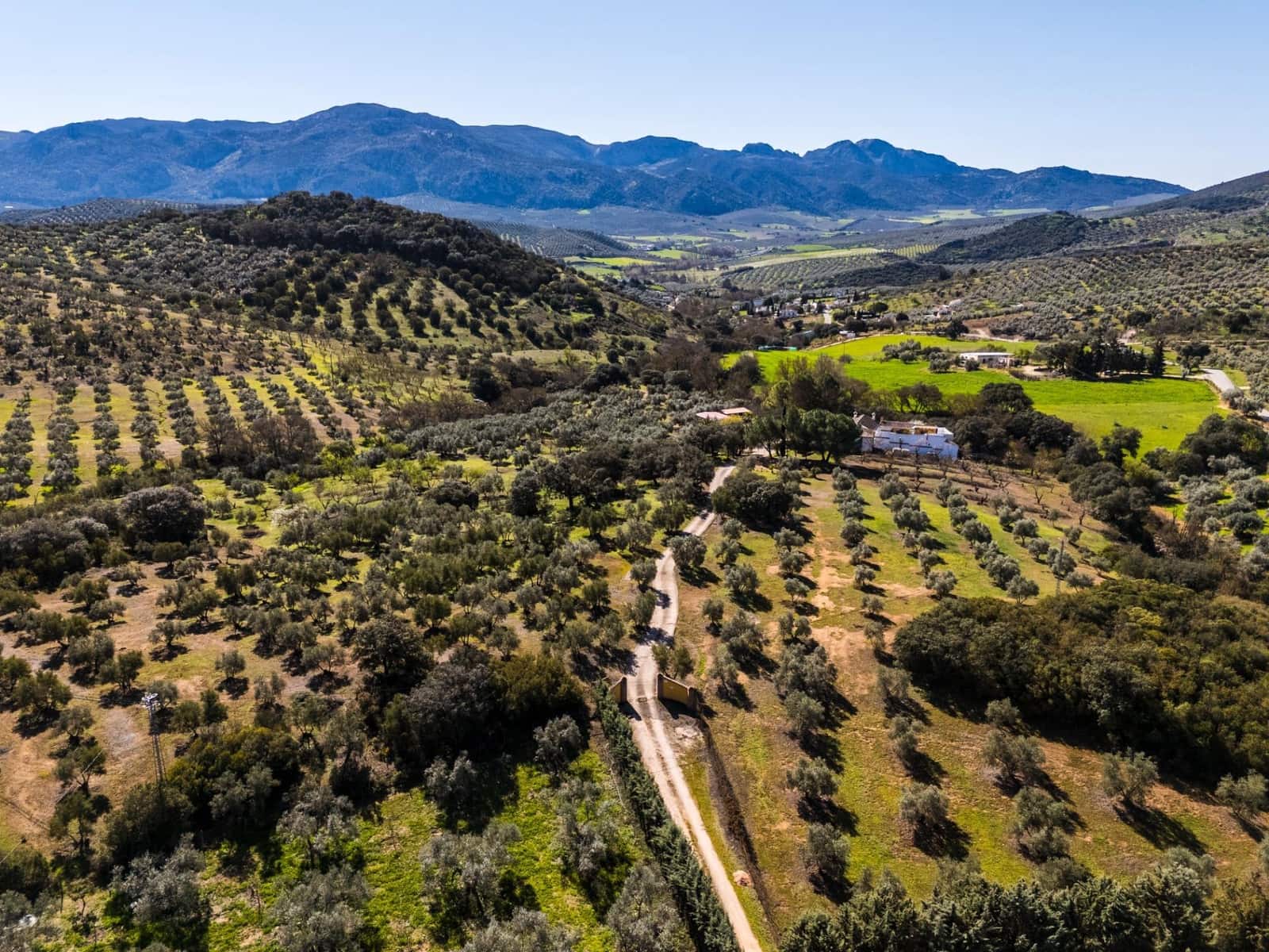 6 slaapkamer Finca/Landhuis te koop in Villanueva del Rosario met zwembad - € 950.000 (Ref: 10166699)