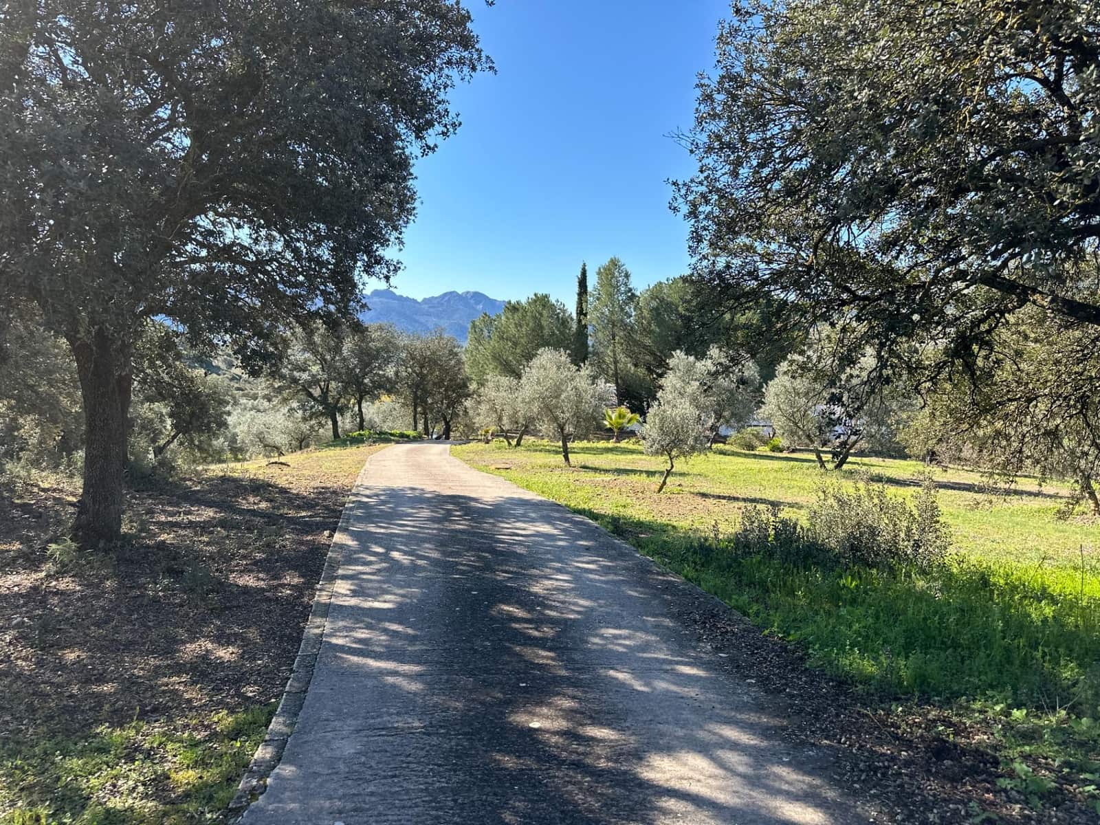 6 slaapkamer Finca/Landhuis te koop in Villanueva del Rosario met zwembad - € 950.000 (Ref: 10166699)