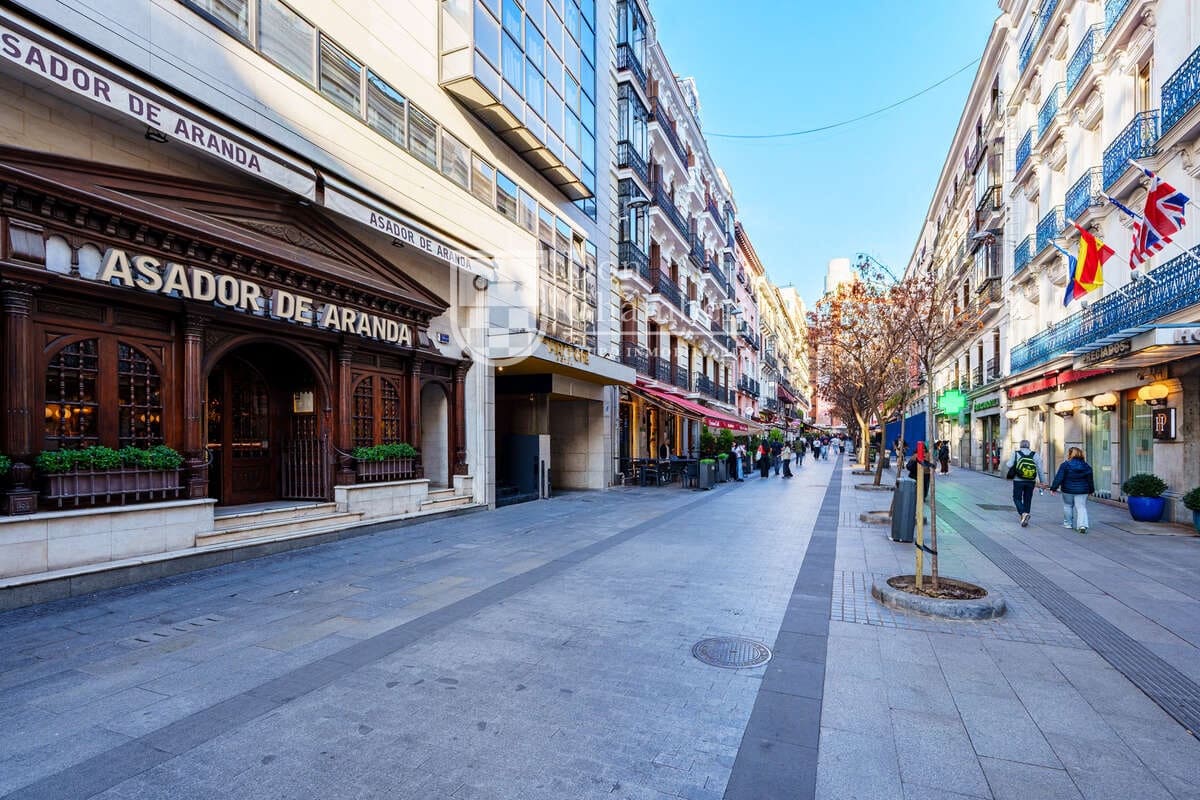 1 bedroom Apartment for rent in Madrid city - € 1,400 (Ref: 9694624)