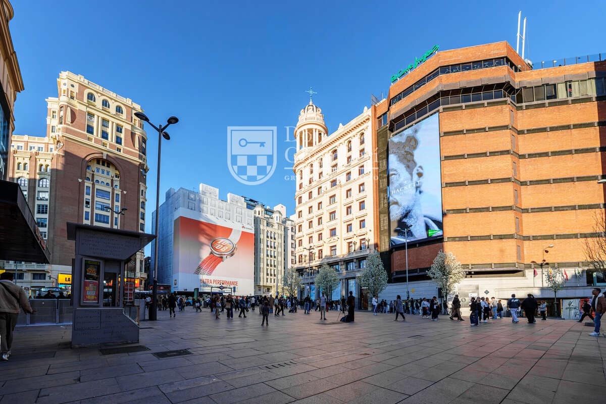 1 bedroom Apartment for rent in Madrid city - € 1,400 (Ref: 9694624)