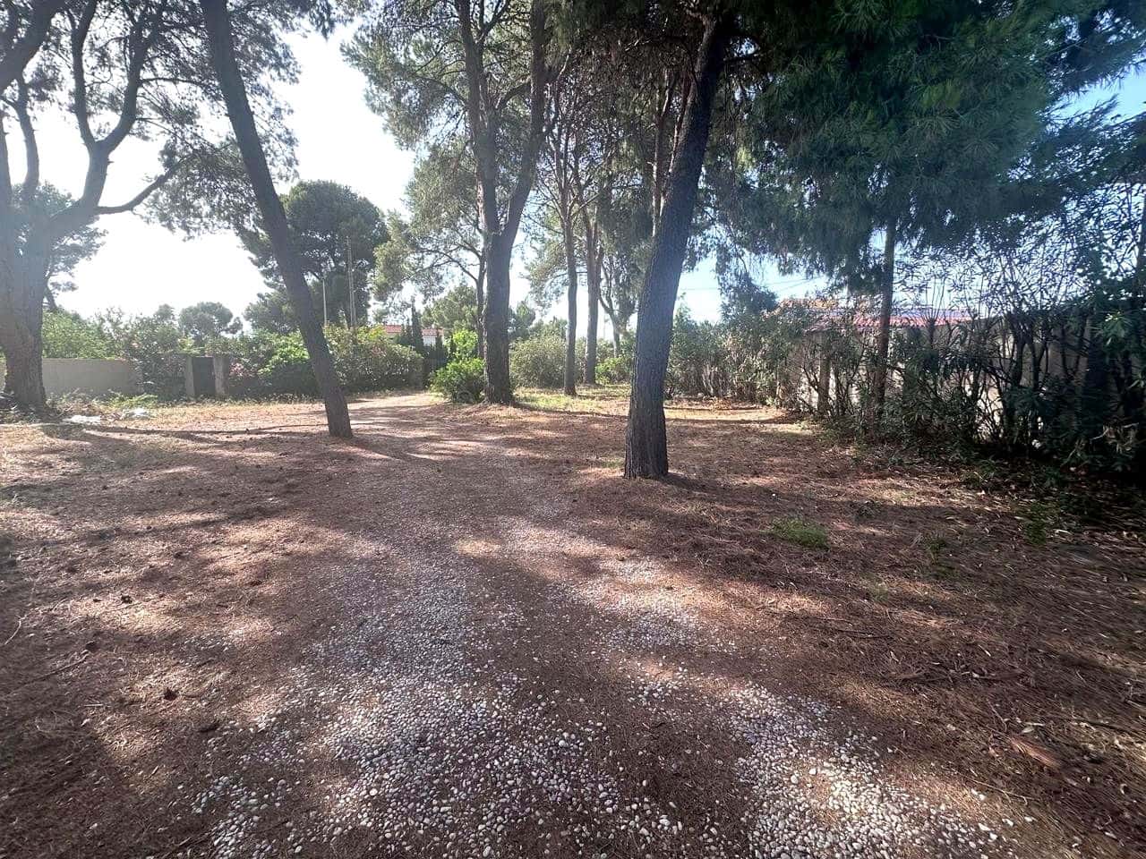 Undeveloped Land for sale in Castello de la Plana - € 105,000 (Ref: 9956142)