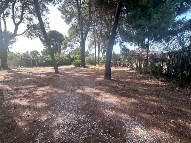 Undeveloped Land for sale in Castelló de la Plana - € 105,000 (Ref: 9956142)