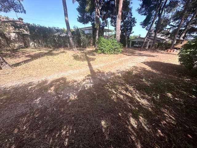 Undeveloped Land for sale in Castelló de la Plana - € 105,000 (Ref: 9956142)
