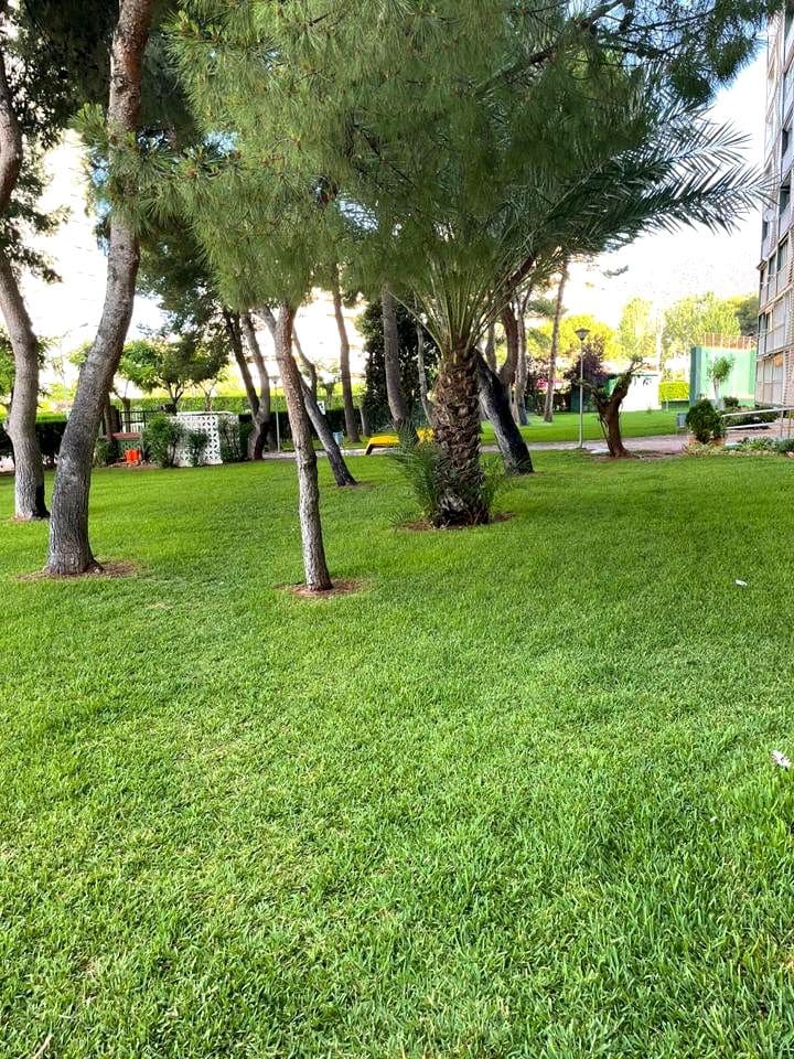 2 slaapkamer Flat te koop in Benicassim met zwembad - € 310.000 (Ref: 9956158)