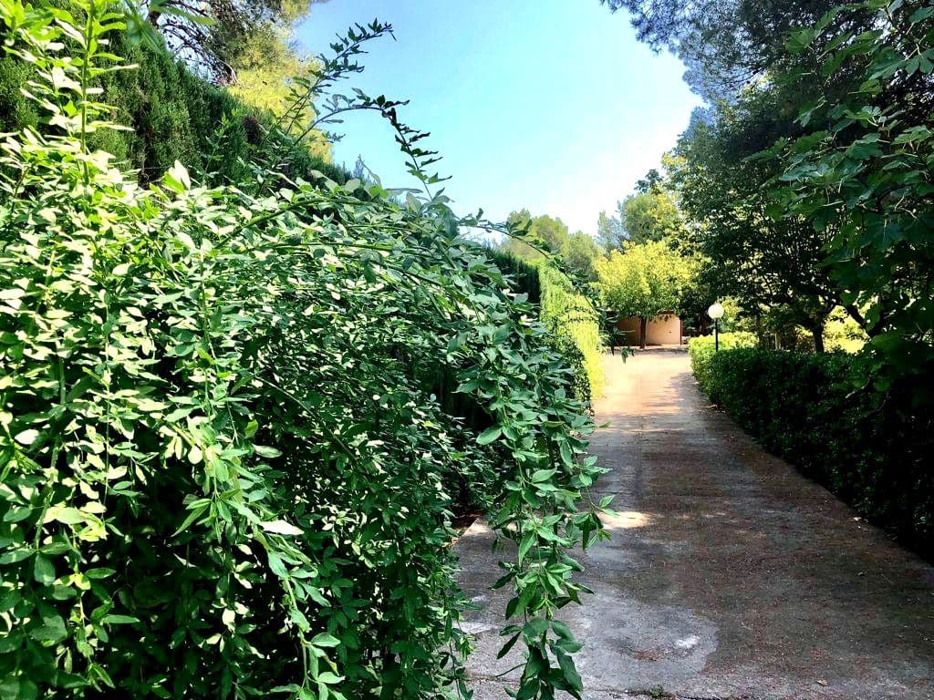 4 sypialnia Willa na sprzedaż w L'Alcora z basenem garażem - 390 000 € (Ref: 9956163)