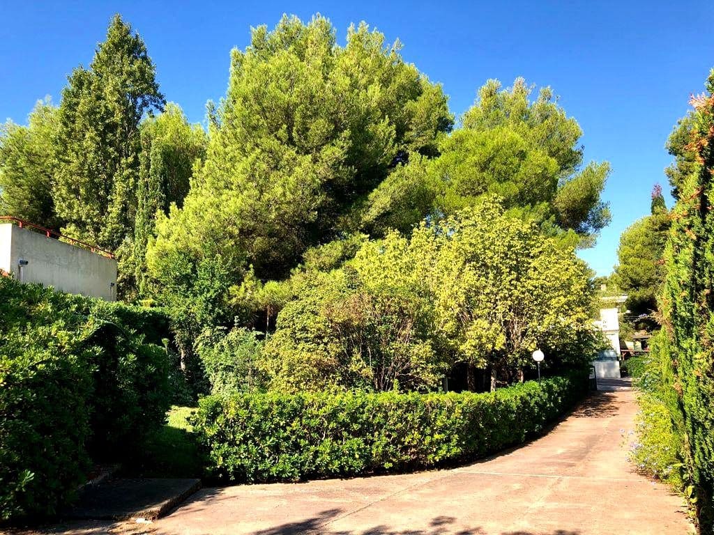 4 sypialnia Willa na sprzedaż w L'Alcora z basenem garażem - 390 000 € (Ref: 9956163)