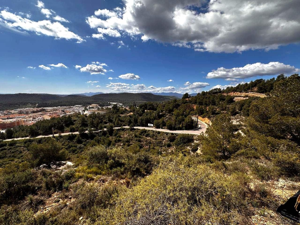 Undeveloped Land for sale in L'Alcora - € 176,400 (Ref: 9956178)