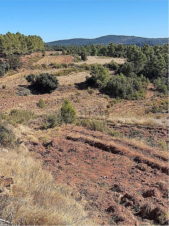 6 bedroom Finca/Country House for sale in Zucaina - € 199,900 (Ref: 9956184)