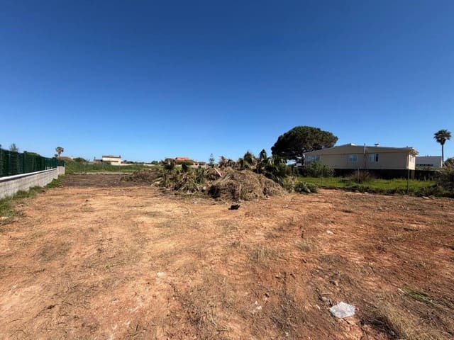 Terre non Aménagée à vendre à Castelló de la Plana - 50 000 € (Ref: 10052270)