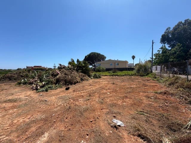 Terre non Aménagée à vendre à Castelló de la Plana - 50 000 € (Ref: 10052270)