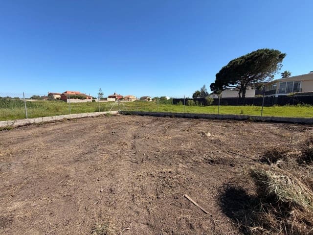 Terre non Aménagée à vendre à Castelló de la Plana - 50 000 € (Ref: 10052270)