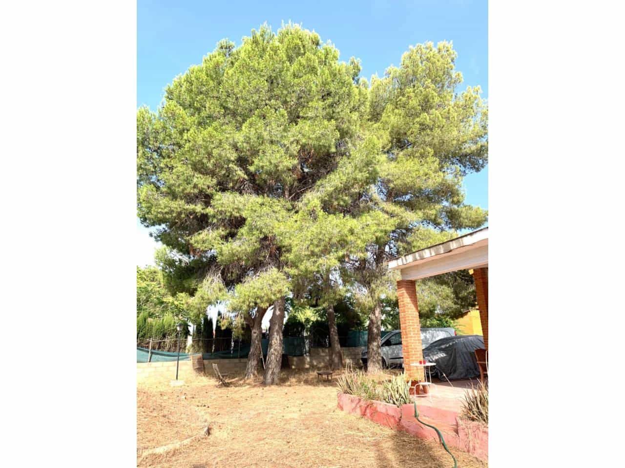 3 Zimmer Finca/Landgut zu verkaufen in Lliria mit Pool Garage - 219.000 € (Ref: 10052272)