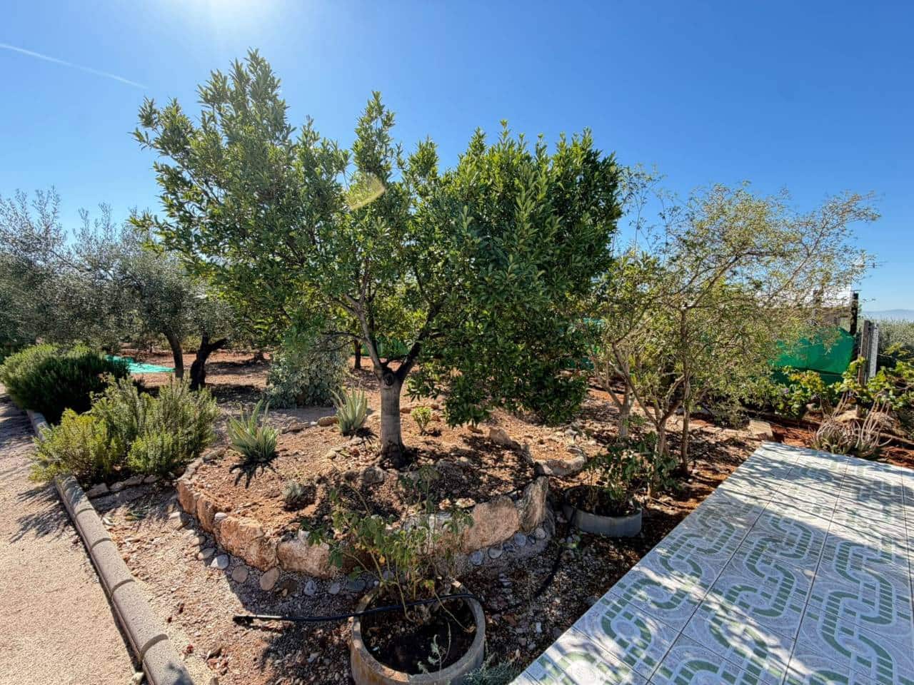 3 soveværelse Finca/Landehus til salg i San Juan de Moro med swimmingpool garage - € 215.000 (Ref: 10118687)