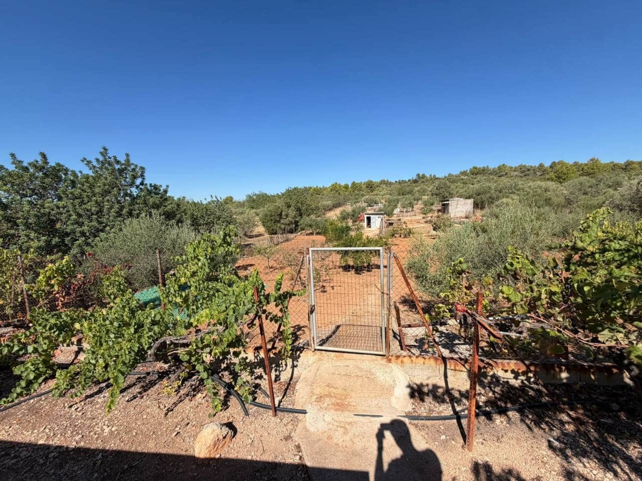 3 soveværelse Finca/Landehus til salg i San Juan de Moro med swimmingpool garage - € 215.000 (Ref: 10118687)