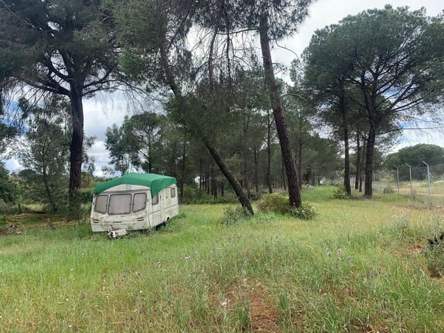 Mark till salu i San Bartolomé de la Torre - 38 500 € (Ref: 10100449)