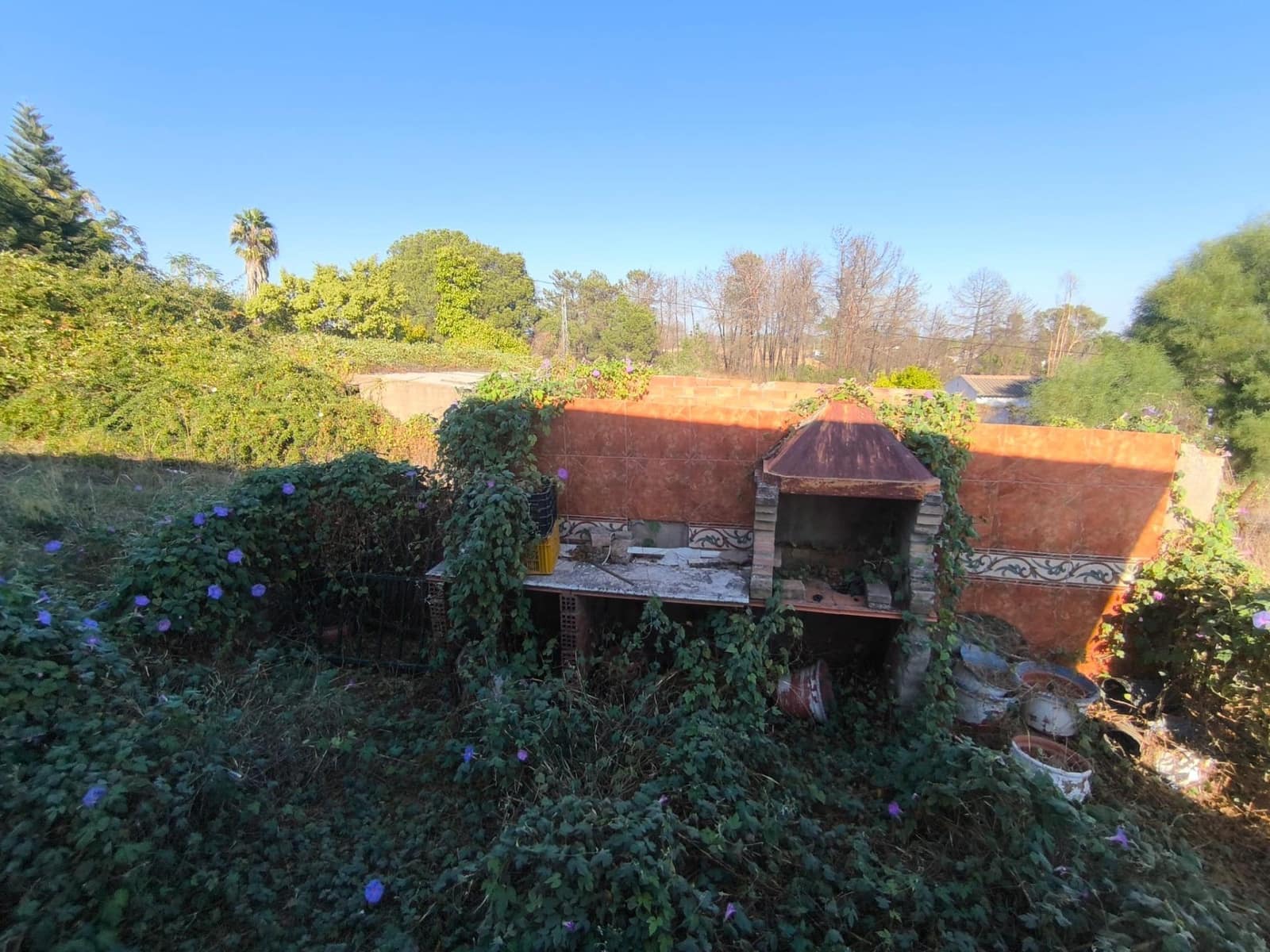3 bedroom Finca/Country House for sale in Gibraleon - € 90,000 (Ref: 10157918)