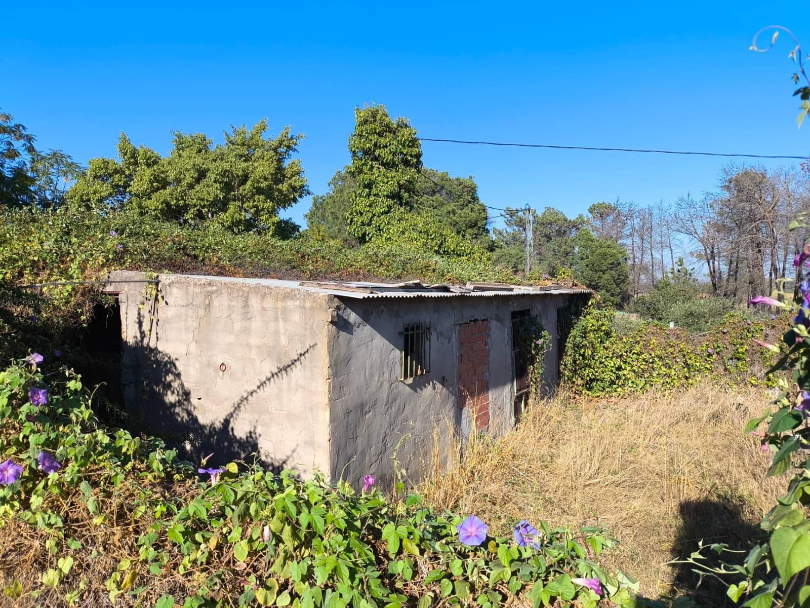 3 bedroom Finca/Country House for sale in Gibraleon - € 90,000 (Ref: 10157918)