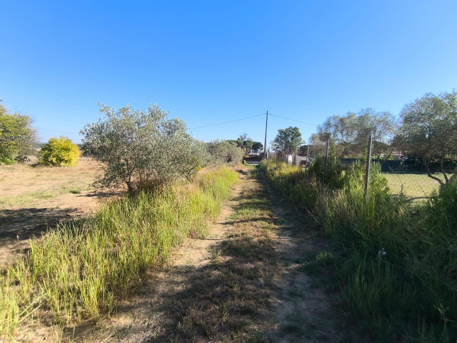 3 bedroom Finca/Country House for sale in Gibraleon - € 90,000 (Ref: 10157918)