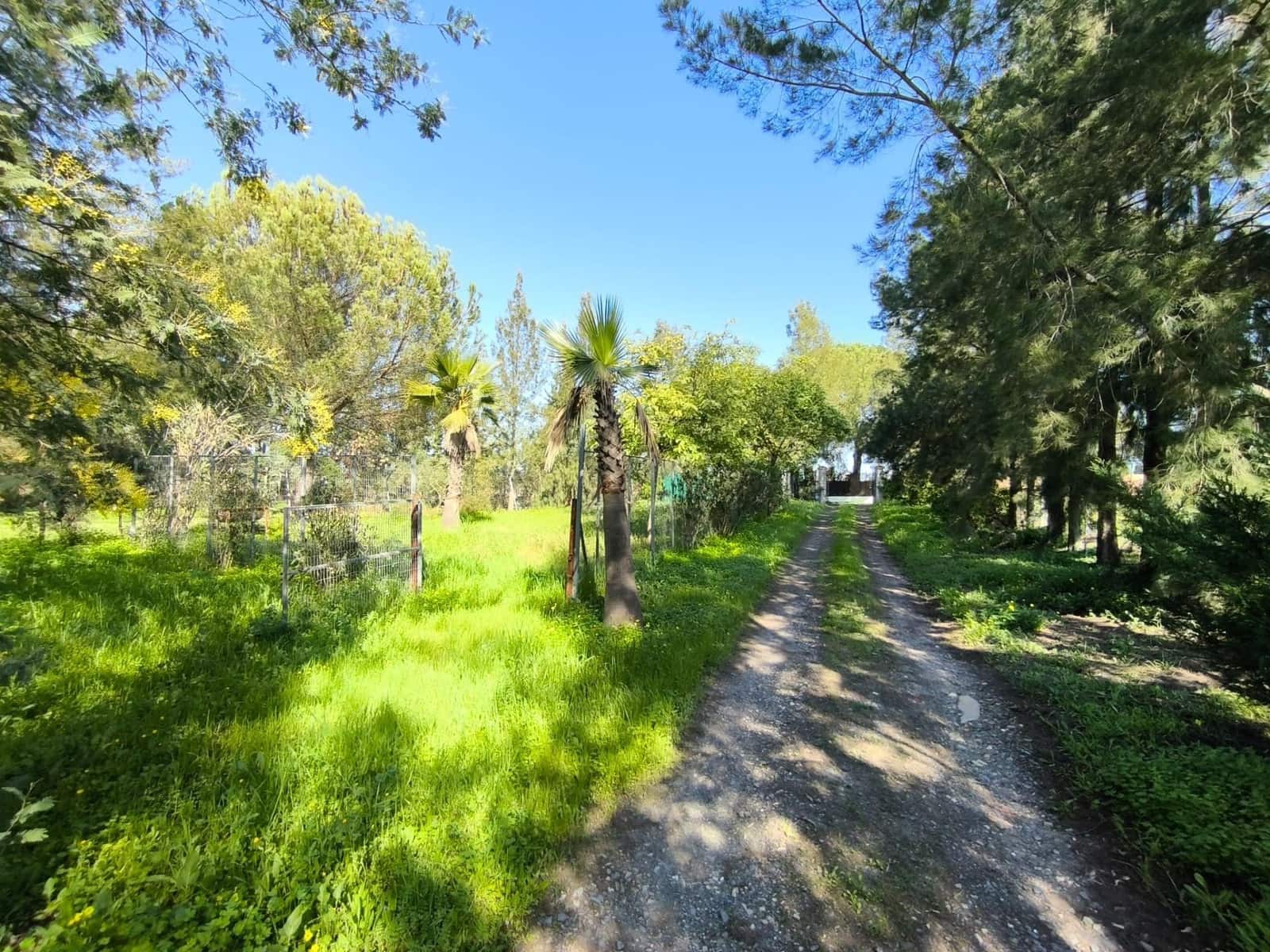 3 slaapkamer Finca/Landhuis te koop in Gibraleon - € 158.000 (Ref: 9569143)