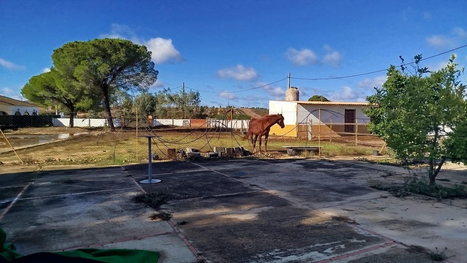 3 soverom Finca/Herregård til salgs i Beas - € 260 000 (Ref: 9569159)