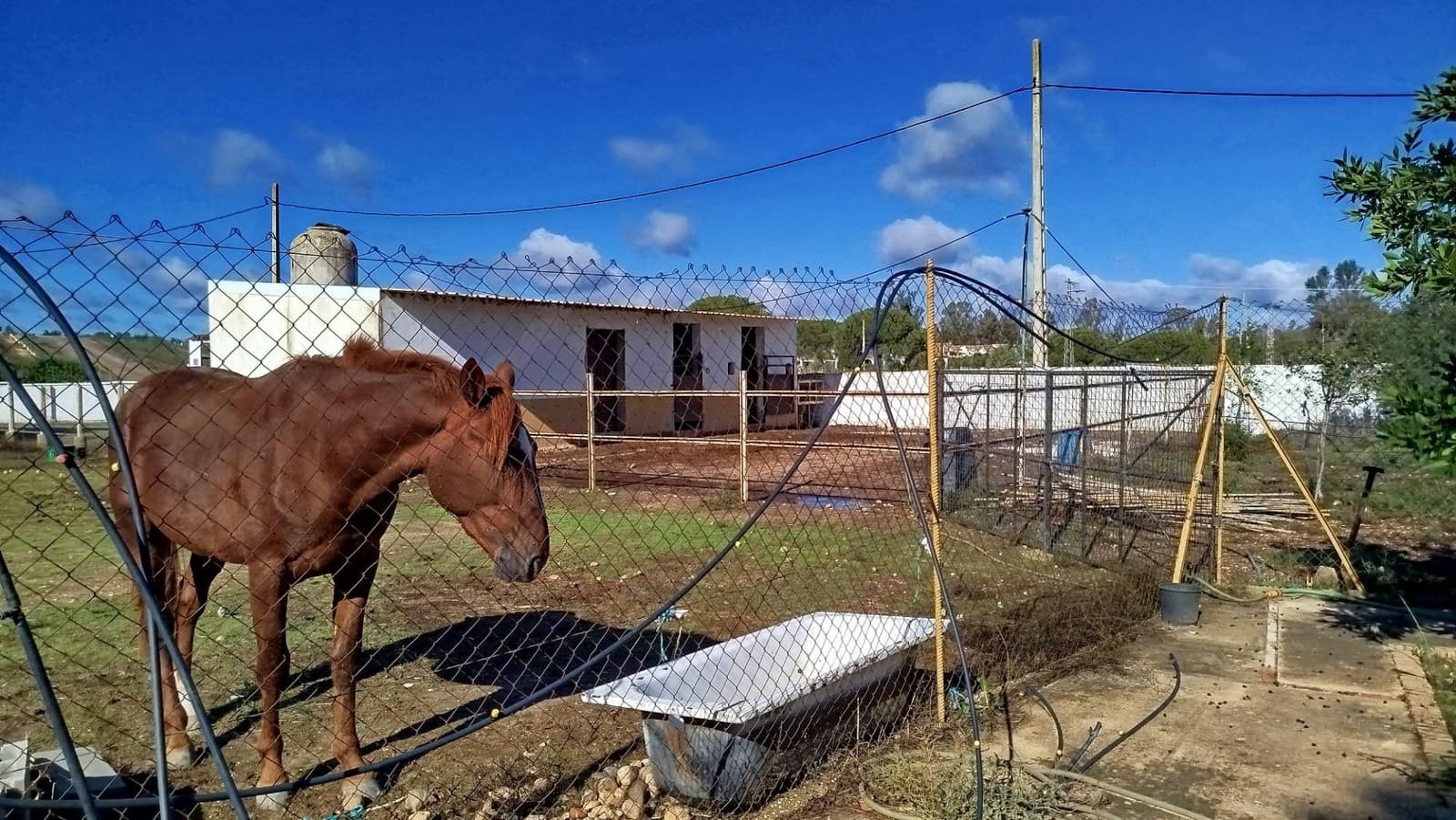 3 soverom Finca/Herregård til salgs i Beas - € 260 000 (Ref: 9569159)